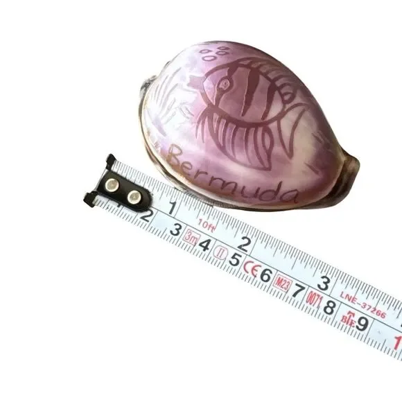 Decorative Pink Fish Shell - Picture 6 of 6